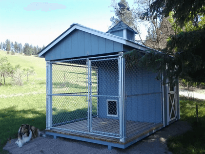 Dog Kennel Shed